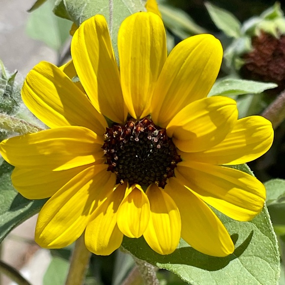 Shop & Save - Picture 5 of 11